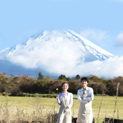 日本全境接送机（免费等待/中文司机/专车服务）