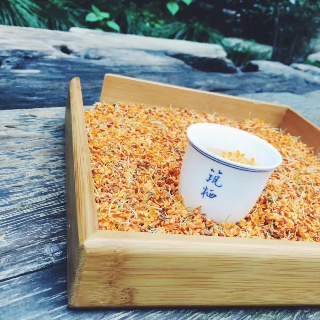 范冰冰周迅全家来打卡!这个200㎡西湖边私家独院,专治城市人的焦虑和不安