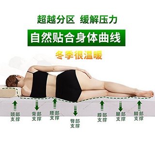 Sleep Science 睡眠科学 凤凰黑宝石 优质纳米竹炭记忆棉厚床垫 厚度20CM