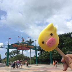 全年畅玩香港迪士尼乐园 奇妙处处通 年卡多少钱 什么值得买