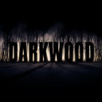 历史低价:《Darkwood(阴暗森林)》PC数字版游戏