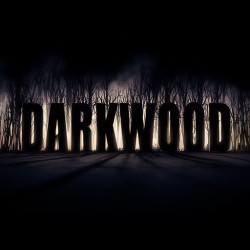 《Darkwood（阴暗森林）》PC数字版游戏