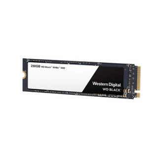 WD 西部数据 Black 3D NVMe M.2 2280 固态硬盘 250GB