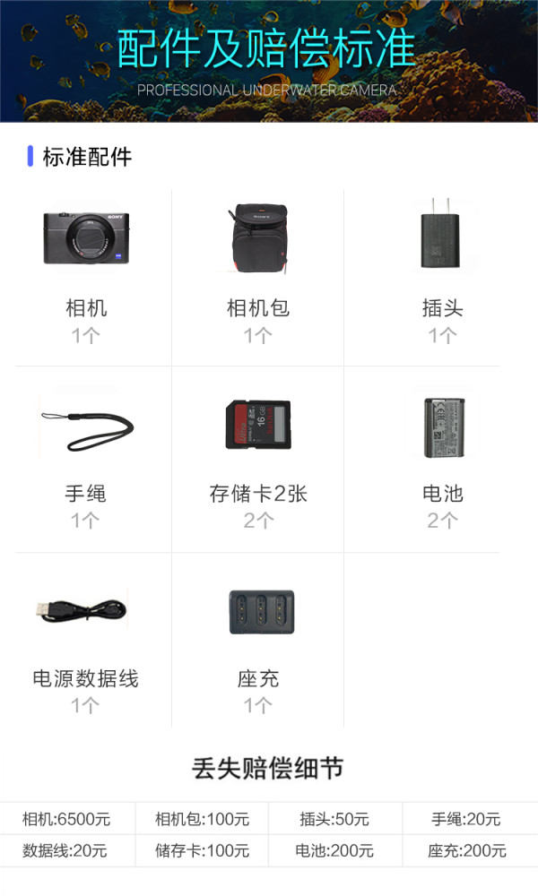 SONY 索尼 DSC-RX100M5 数码相机租赁 可配防水壳
