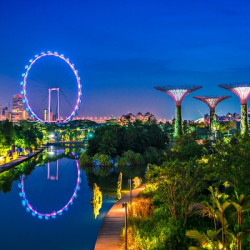 特价机票:国航\/新航\/酷航 北京\/上海\/南京\/沈阳-