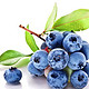 移动专享：连云港新鲜蓝莓 4盒 500g