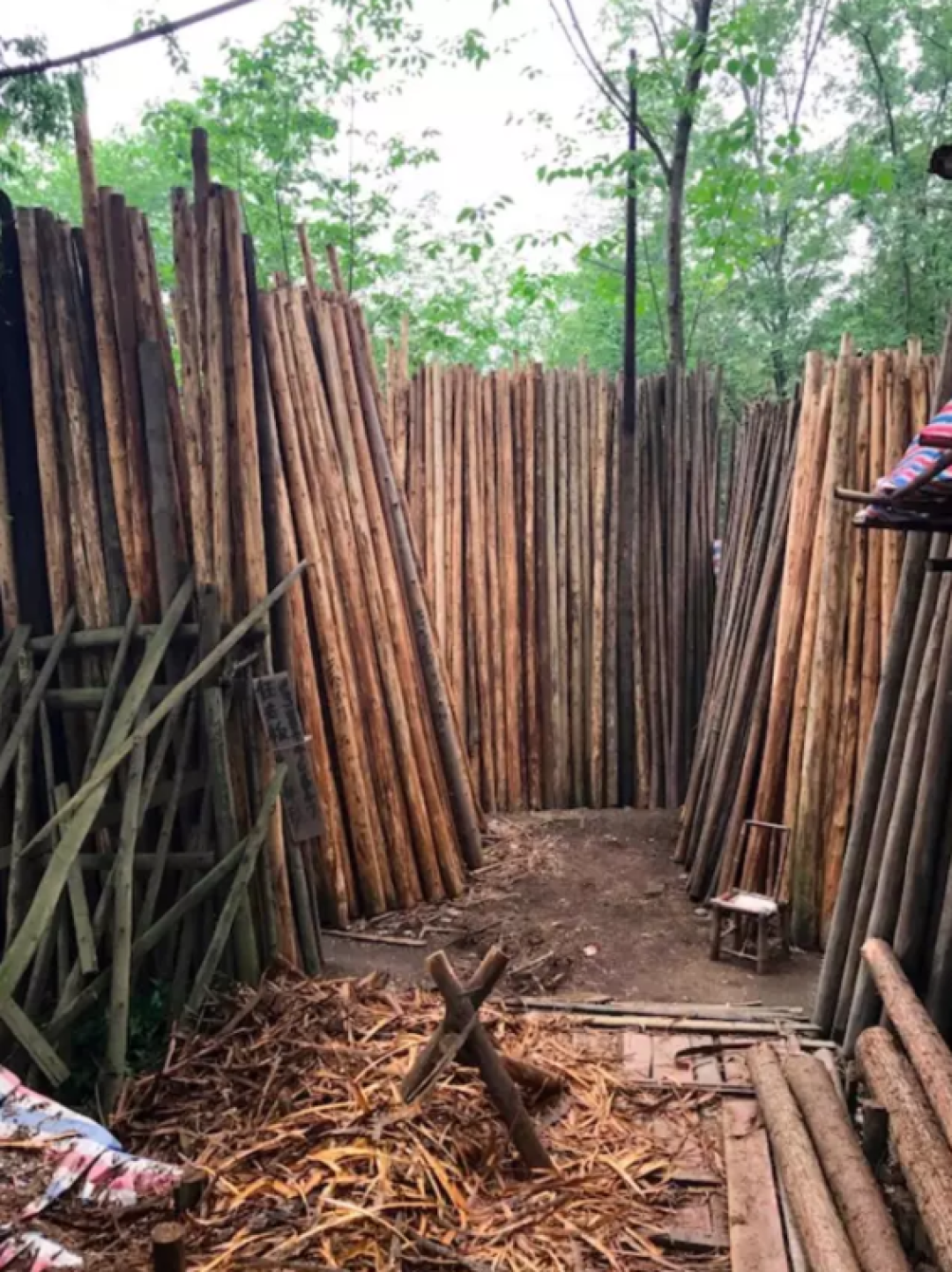 用好白墙油画老木头,50m²二手房也能像欧洲博物馆一样