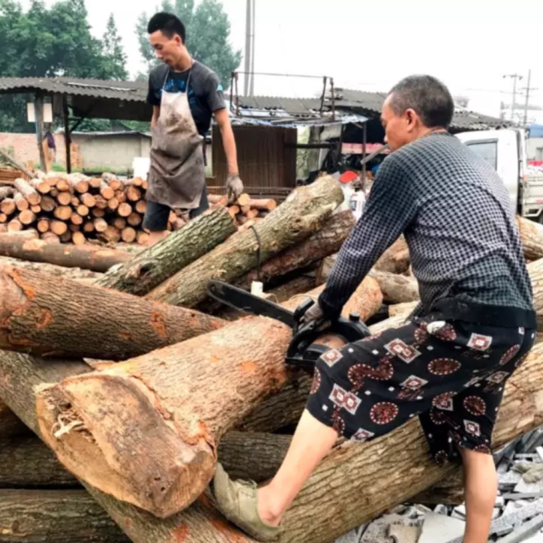 用好白墙油画老木头,50m²二手房也能像欧洲博物馆一样