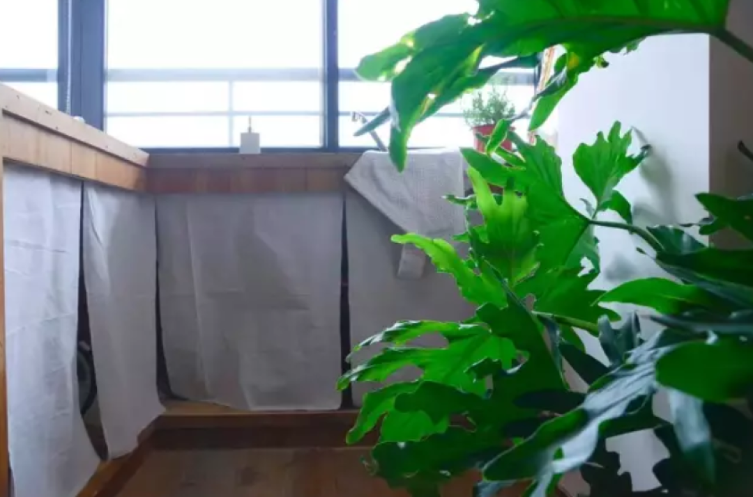 用好白墙油画老木头,50m²二手房也能像欧洲博物馆一样