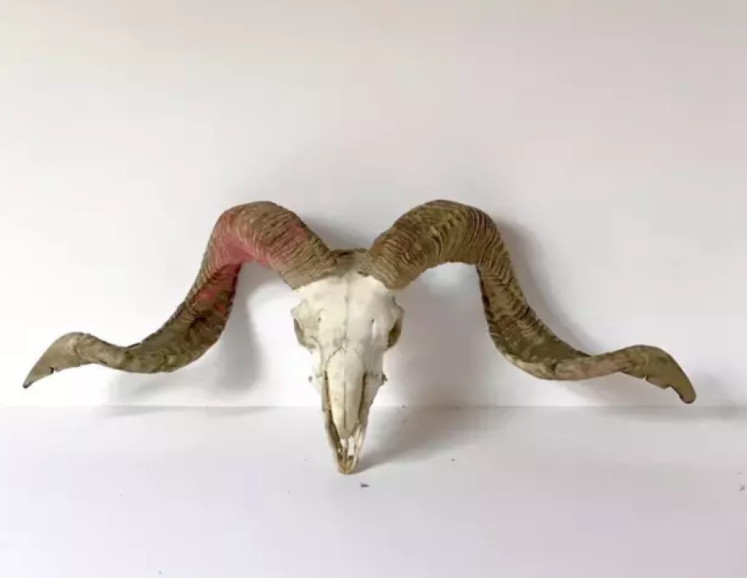 用好白墙油画老木头,50m²二手房也能像欧洲博物馆一样