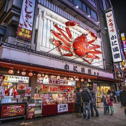 直飞往返+宿星级酒店！上海-大阪5天4晚