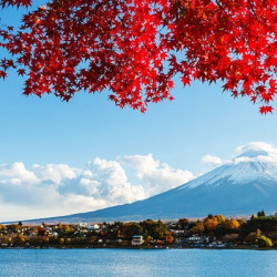 济南/青岛-日本东京/大阪/名古屋/京都/奈良6-8天跟团游