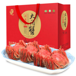 秋之蟹 阳澄湖六月黄大闸蟹 鲜活现货 1.5两*8只 *2件
