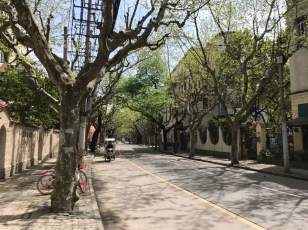别网购了,花一天到实体店逛逛丨逃离连锁店计划