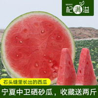  宁夏中卫硒砂瓜 10斤