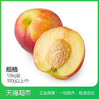 易果生鲜 安徽油桃 1.5kg 单果重100g以上
