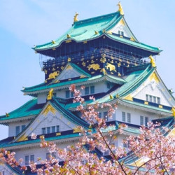 本州黄金线！上海-日本大阪+京都+箱根+东京6天5晚跟团游