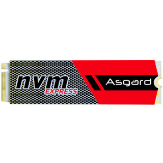 Asgard 阿斯加特 AN系列 M.2 NVMe 固态硬盘 256GB