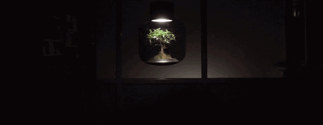 这盏超酷的灯,见过算你厉害!