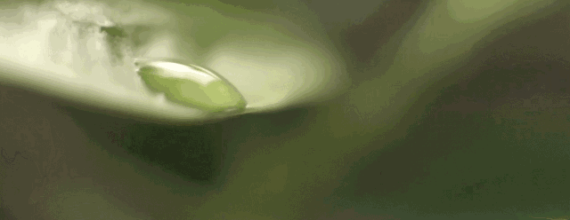 这盏超酷的灯,见过算你厉害!