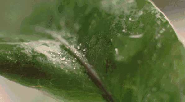 这盏超酷的灯,见过算你厉害!