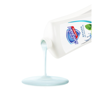 Safeguard 舒肤佳 薄荷冰怡舒爽沐浴露 720ml