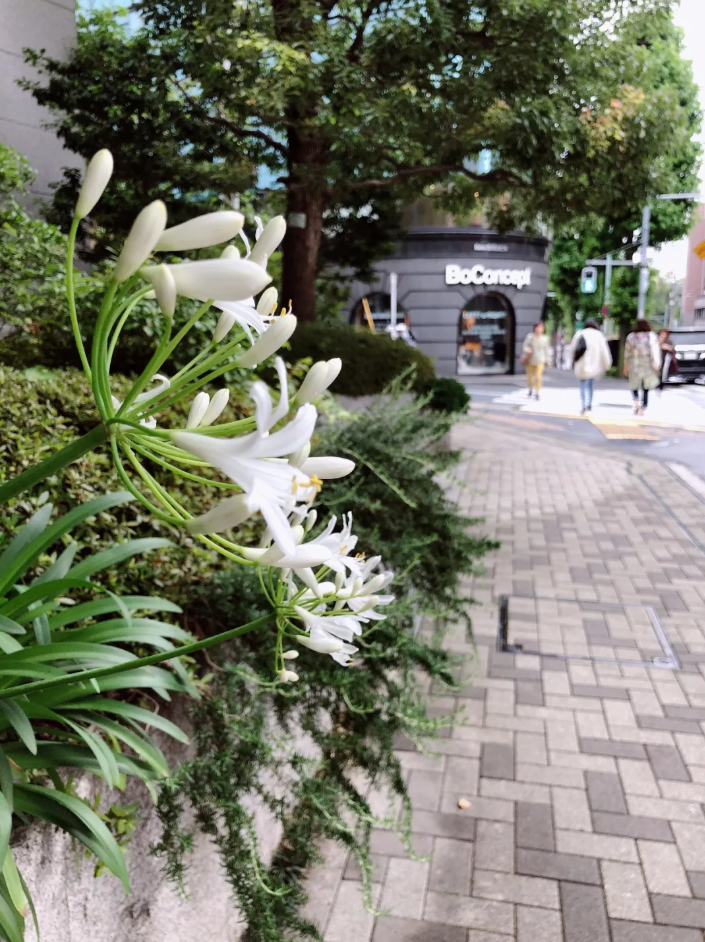 看完东京这5家家居买手店,我发现今年流行色是小龙虾色!