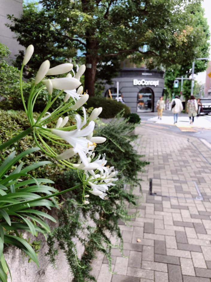 看完东京这5家家居买手店，我发现今年流行色是小龙虾色！