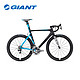 GIANT 捷安特 Propel Advanced SL 0 碳纤维公路车