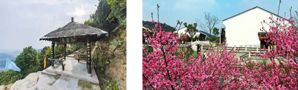 酒店特惠:杭州皋澜滨野营度假村3晚住宿+欢迎茶+早餐+娱乐活动