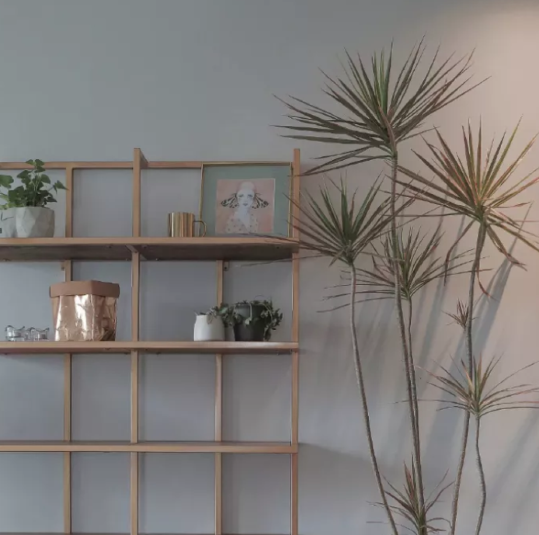 迷雾色系的75m²小户型, 只需加一点灰度就瞬间稳重耐看!