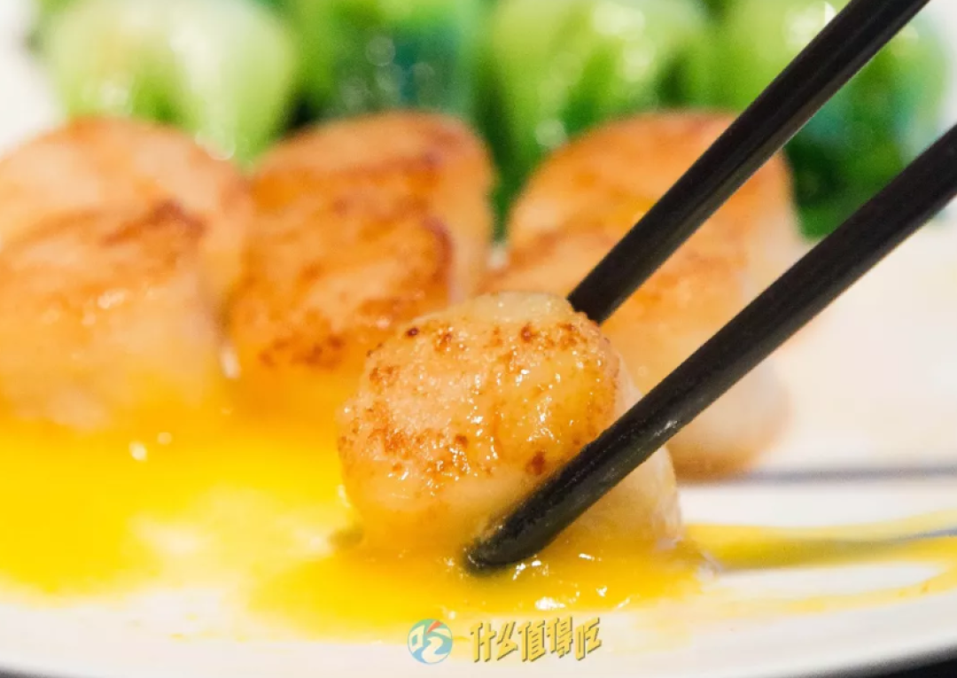 我们花了七千块，告诉你广州米其林的菜到底有冇水准