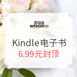 亚马逊中国 拥书觅清凉 Kindle电子书