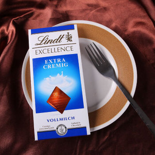 Lindt 瑞士莲 牛奶巧克力排块 100g