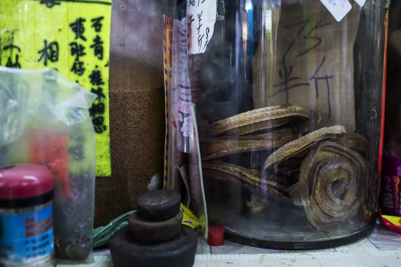 多次上榜香港米其林的百年蛇店,好吃吗?