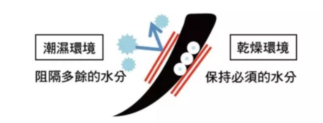 脸很重要，这几样法宝了解一下？