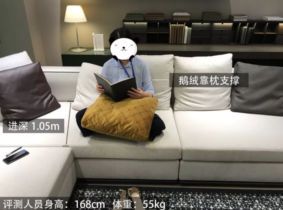 沙发也有C位?3款5万以上品质沙发横向测评
