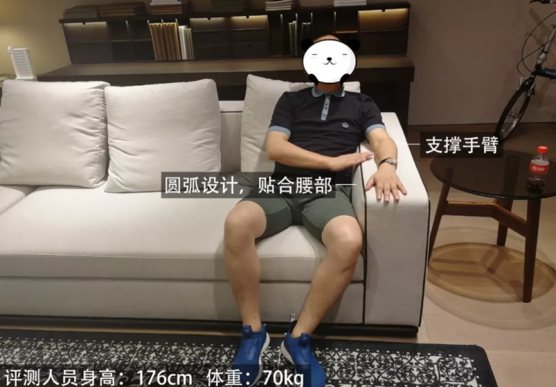 沙发也有C位?3款5万以上品质沙发横向测评