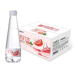 天地精华 苏打水 西柚味 410ml*15瓶 