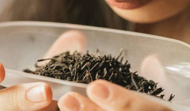 《骏眉令》之王者征召 骏德红茶推荐榜（中）