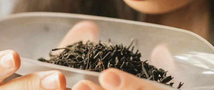  《骏眉令》之王者征召骏德红茶推荐榜（中）