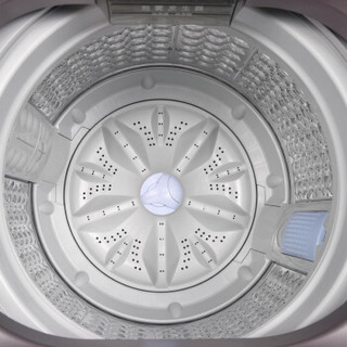  TCL XQBM85-302L 8.5公斤 全自动 波轮洗衣机