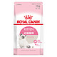 ROYAL CANIN 皇家 K36 幼猫猫粮 10KG