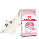  ROYAL CANIN 皇家 K36 幼猫猫粮 10kg*3袋　