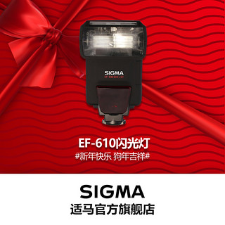 SIGMA 适马 EF-610 DG SUPER 闪光灯