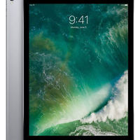 Apple 苹果 iPad Pro 2015款 WLAN 平板电脑 12.9英寸 256G
