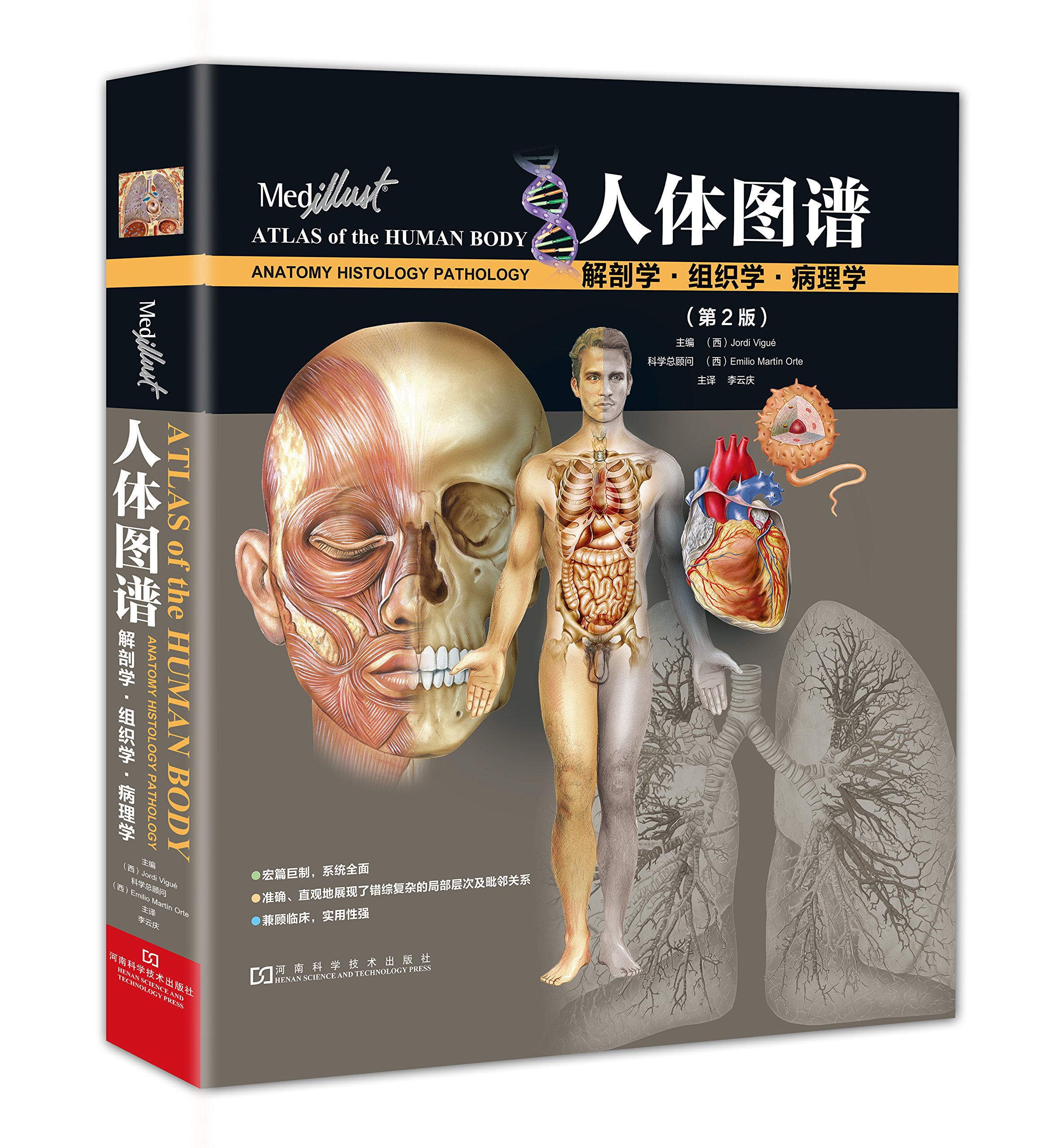 人体图谱:解剖学,组织学,病理学(第2版)精装