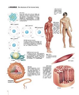  《人体图谱:解剖学、组织学、病理学》（第2版、精装）