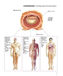  《人体图谱:解剖学、组织学、病理学》（第2版、精装）