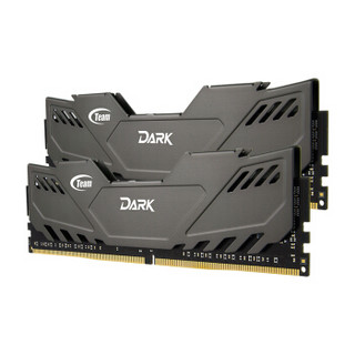  Team 十铨 Dark系列 DDR4 2800 16GB 台式机内存